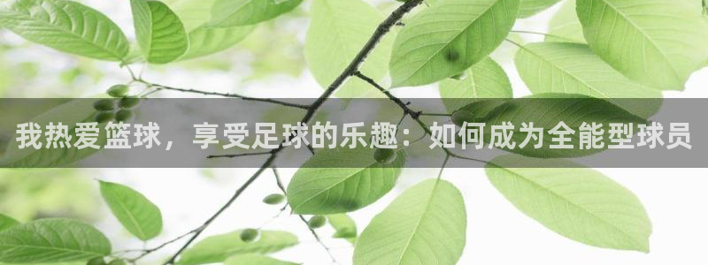 德国尊龙官方正版app集团:我热爱篮球,享受足球的乐趣:如何