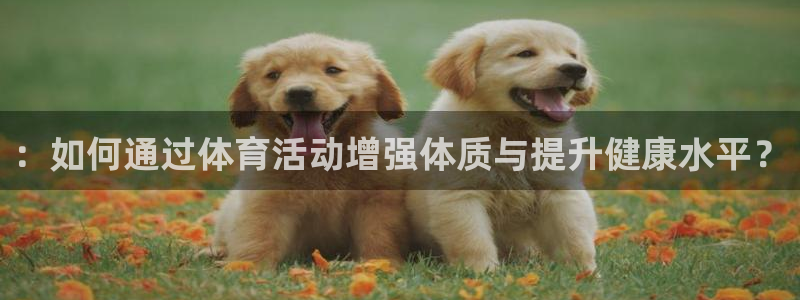 尊龙官网下载平台是正规平台吗知乎::如何通过体育活动增强体质