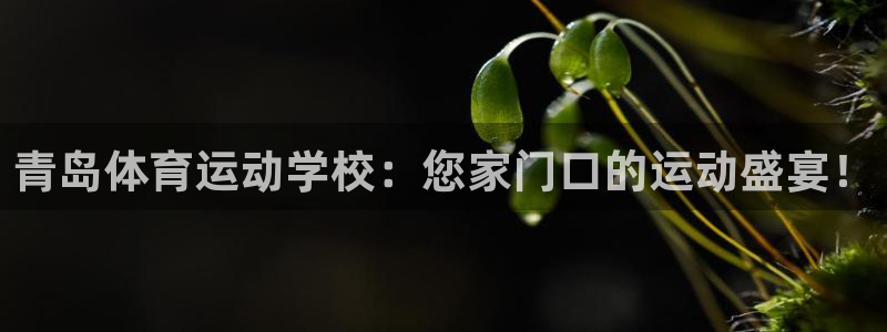 尊龙官网下载平台假的吗是真的吗:青岛体育运动学校:您家门口的