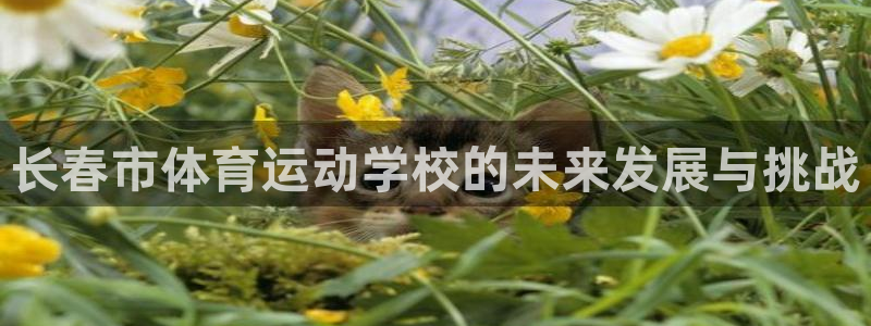 尊龙官网下载平台注册要钱吗:长春市体育运动学校的未来发展与挑